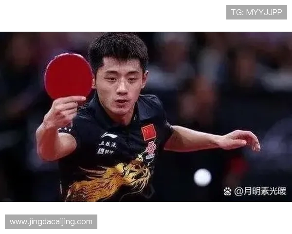 权威发布乒乓球个人能力实力榜单揭晓顶尖选手排名与分析